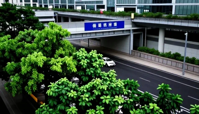 prompt翻译中文叫什么?选型与使用建议