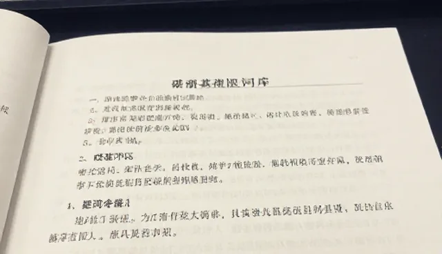 大模型在科研中的具体应用场景:如何提升效率与准确性